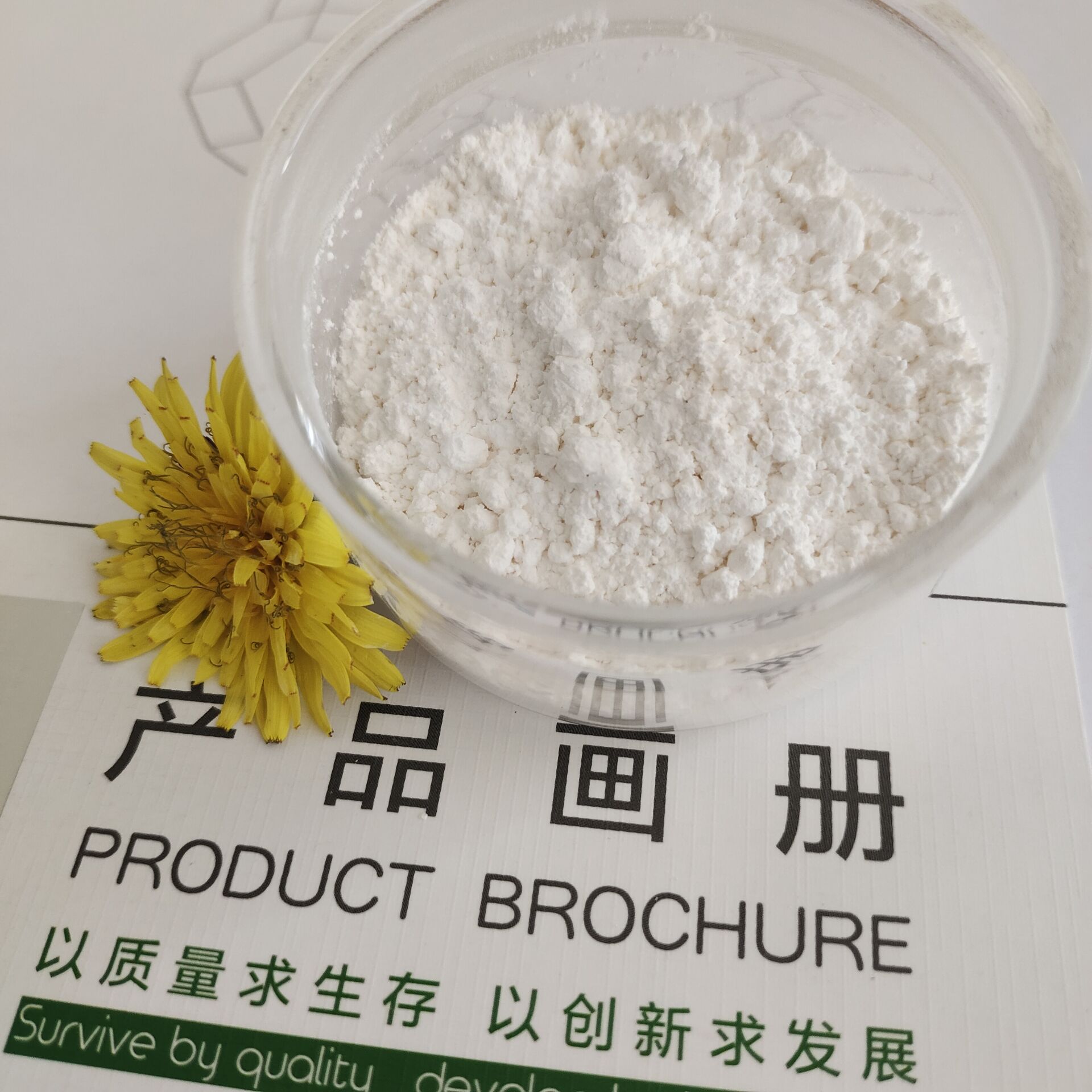 4A分子篩活化粉